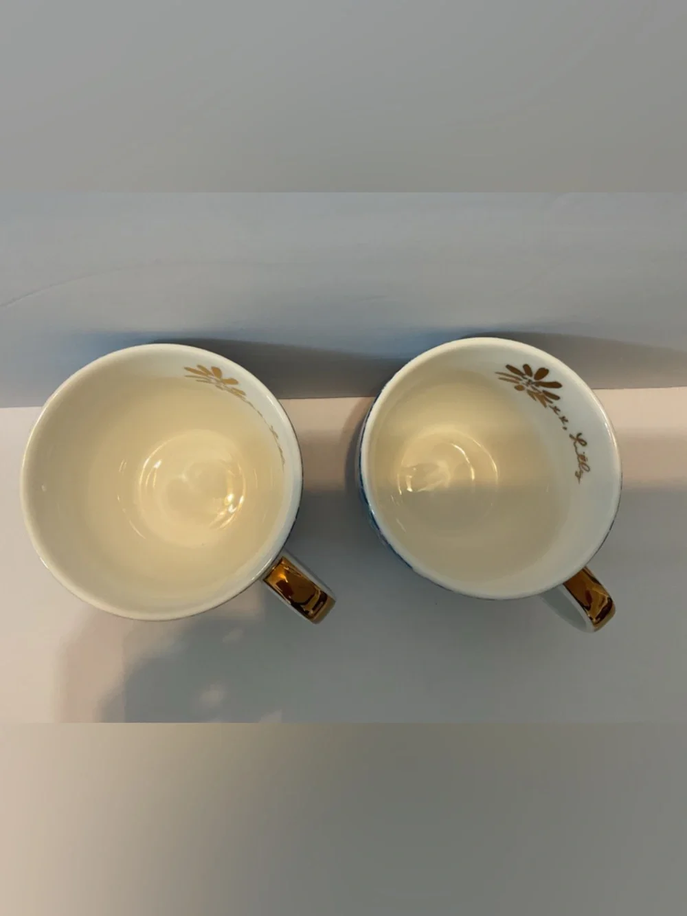 Lilly Pulitzer 2 Lion Around Coffee Tea Mug Hidden Lion Face In Leaves 12 OZ Set